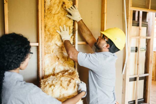 Best Attic Insulation Installation  in Fairview, TX